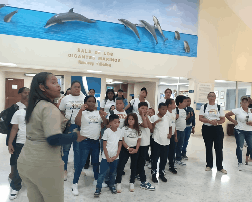 Centro De Servicios Psico-Educativo Piaget